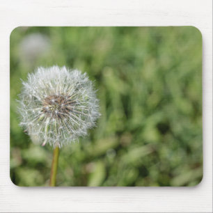 White dandelion flower on green grass mouse pad