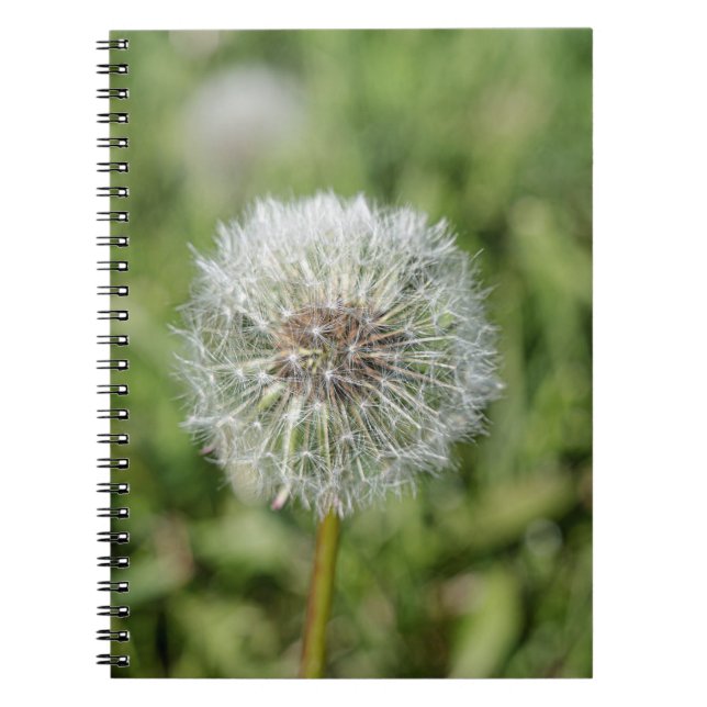 White dandelion flower on green grass notebook (Front)