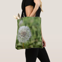 White dandelion flower on green grass