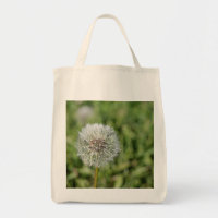 White dandelion flower on green grass