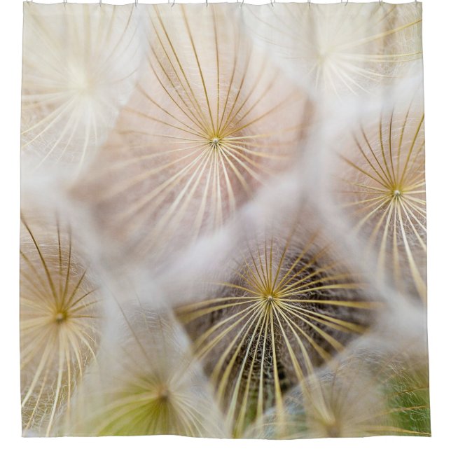 White dandelion flowers shower curtain (Front)