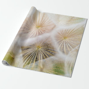 White dandelion flowers wrapping paper