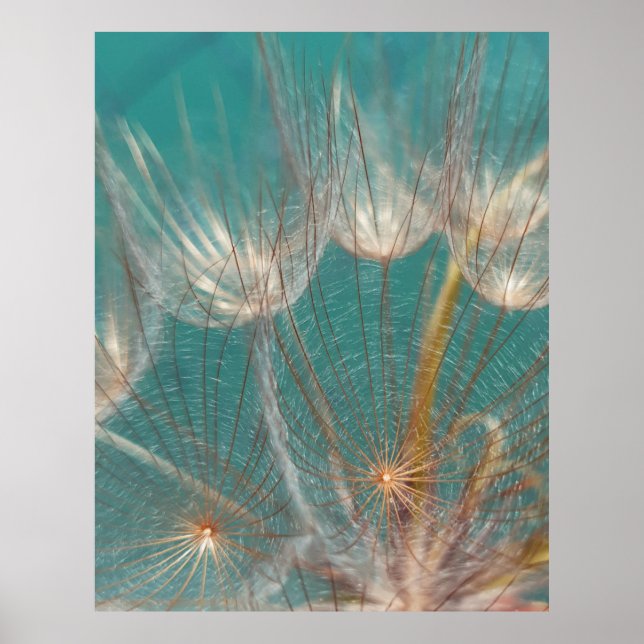 White dandelion in close up photography poster (Front)