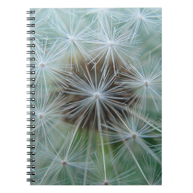 White Dandelion Notebook (Front)