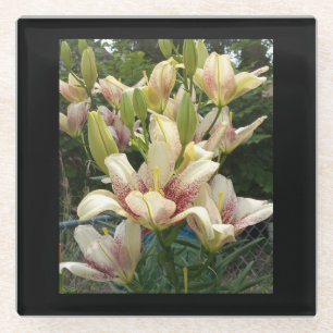 White Daylilies Glass Coaster
