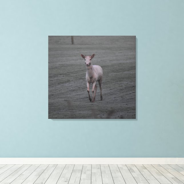 White Deer Canvas Print (Insitu(Wood Floor))