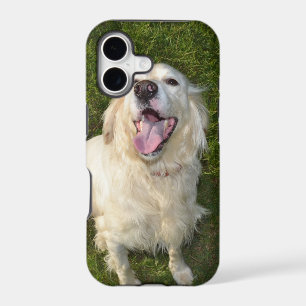 White Dog