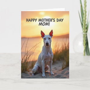 White Dog Mothers Day Portrait Card