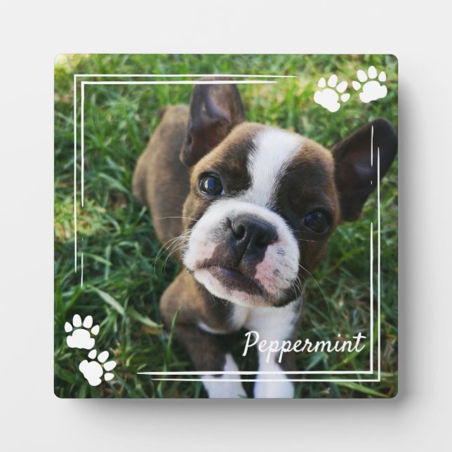 White Dog Paw Print Frame Dog Photo & Name (Front)