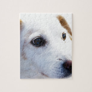 White Dog with Faithful Eyes, Animal Pets Dogs BFF Jigsaw Puzzle
