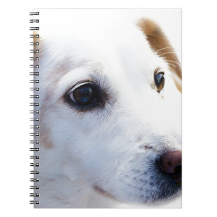 White Dog with Faithful Eyes, Animal Pets Dogs BFF Notebook