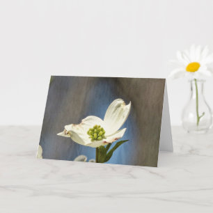 White Dogwood Bloom Card