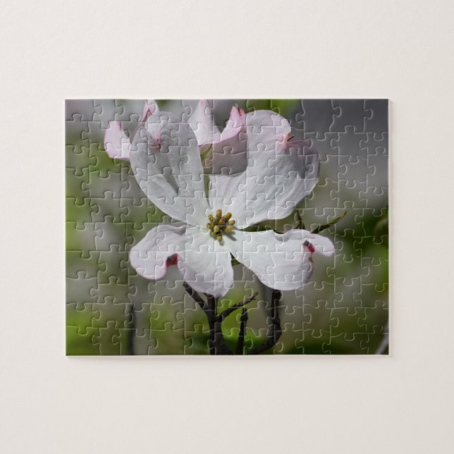 White Dogwood Flower Jigsaw Puzzle (Horizontal)