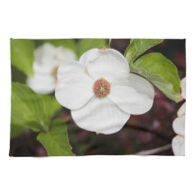 White Dogwood Flower Kitchen Towels