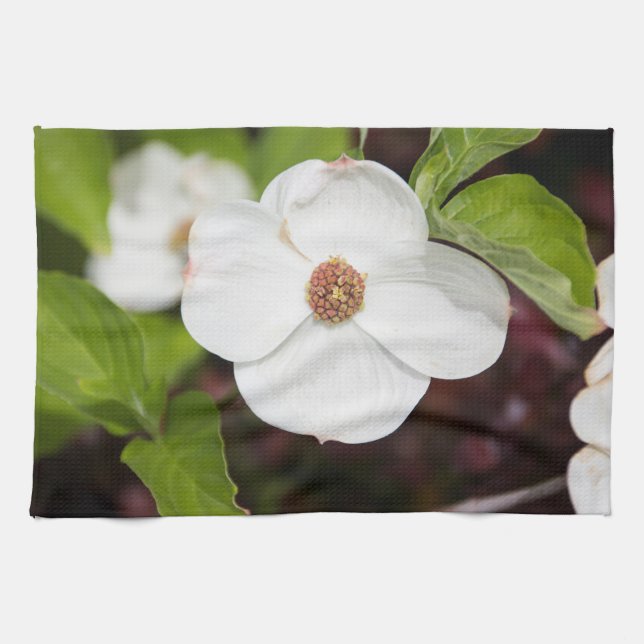 White Dogwood Flower Kitchen Towels (Horizontal)