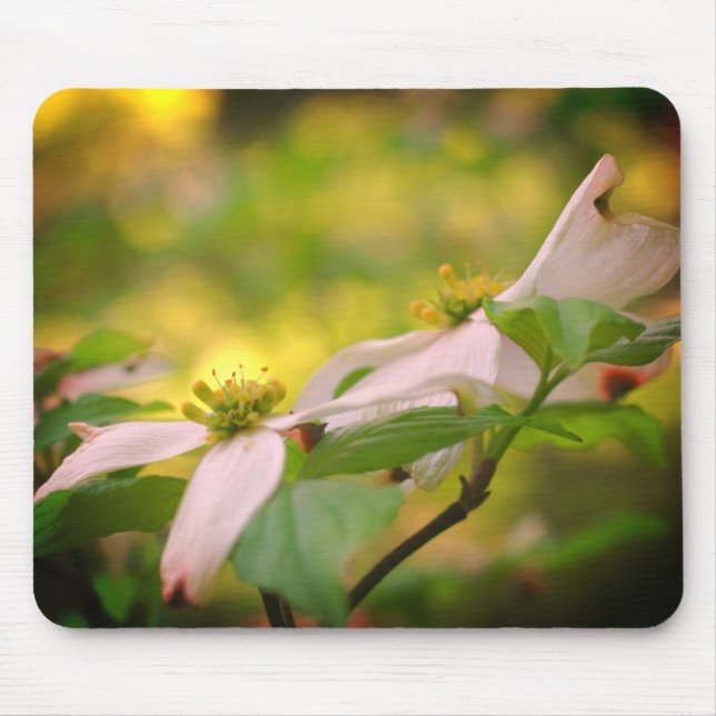 White Dogwood Flowers Mouse Pad (Front)