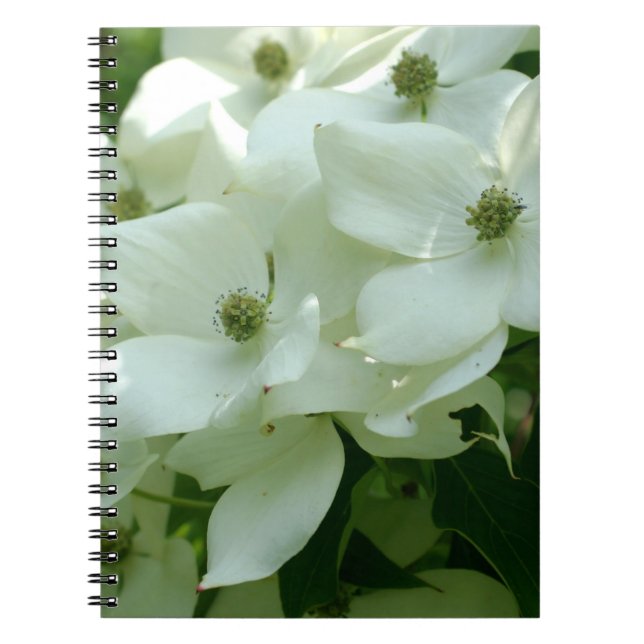 White Dogwood Flowers Nature Notebook (Front)