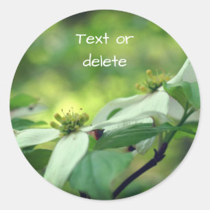 White Dogwood Flowers Personalised Classic Round Sticker
