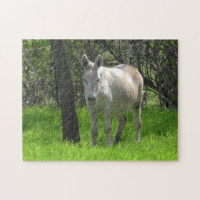 White Donkey on the Farm in the Midwest Jigsaw Puzzle (Horizontal)