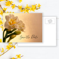 White Double Daffodil Spring Wedding Save the Date