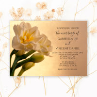 White Double Daffodils Spring Wedding
