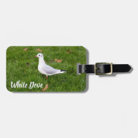 White Dove for bird and Pigeon lover gift