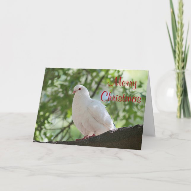 White Dove Holiday Card (Front)