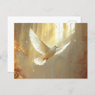 White Dove in the Light Painting Postcard