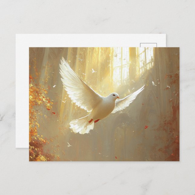 White Dove in the Light Painting Postcard (Front/Back)