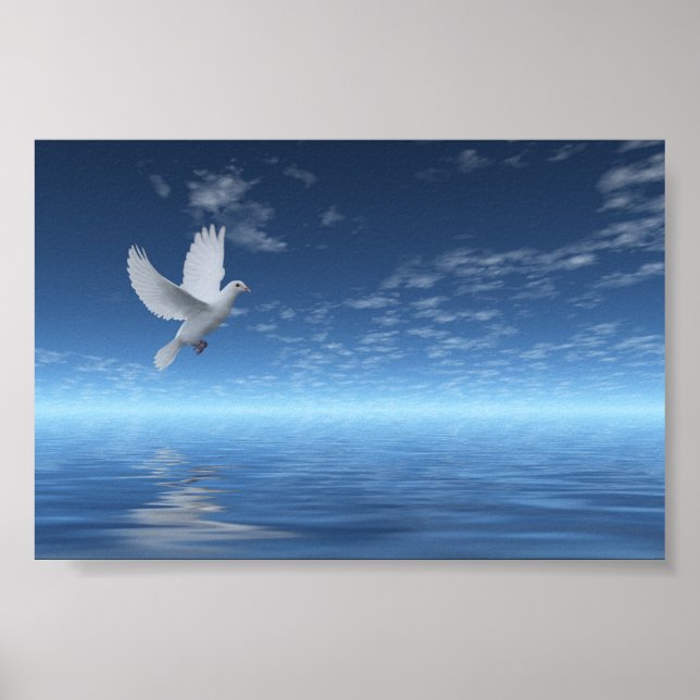 White Dove Poster (Front)