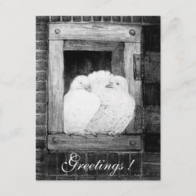 WHITE DOVES AT THE WINDOW  black and white Postcard (Front)