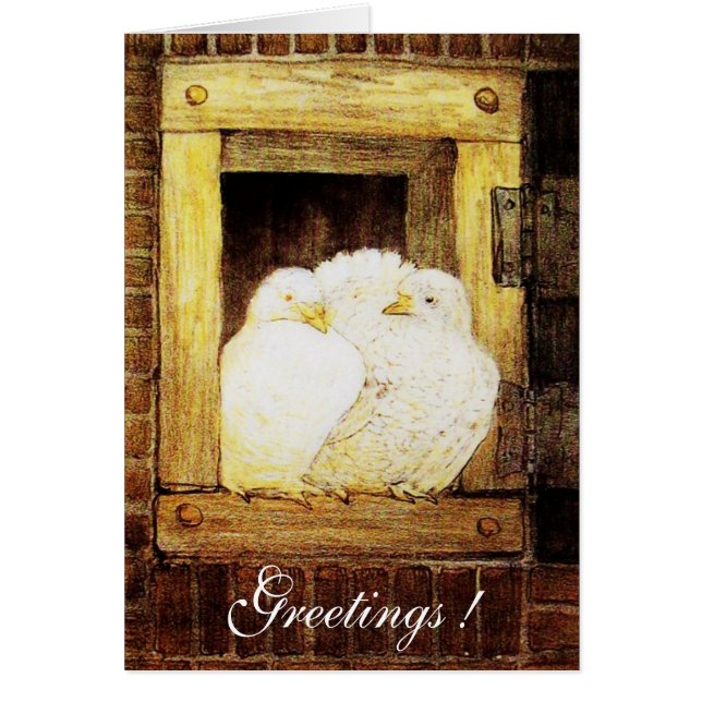 WHITE DOVES AT THE WINDOW, brown yellow (Front)