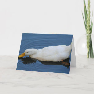 White Duck Card