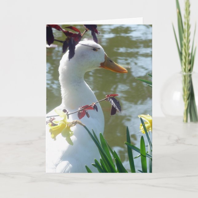 White Duck In Daffodils Happy Easter Card (Front)