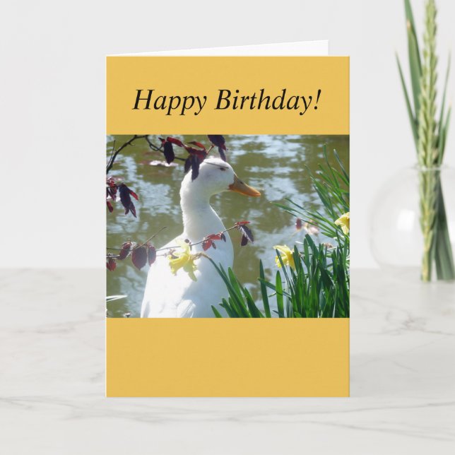 White Duck In Yellow Daffodils Card (Front)