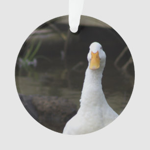 White Duck Ornament 