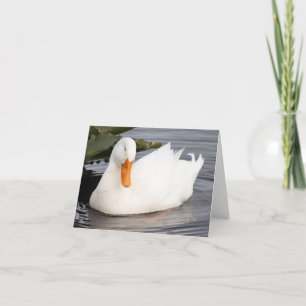 White Duck Photo Folded Note Card