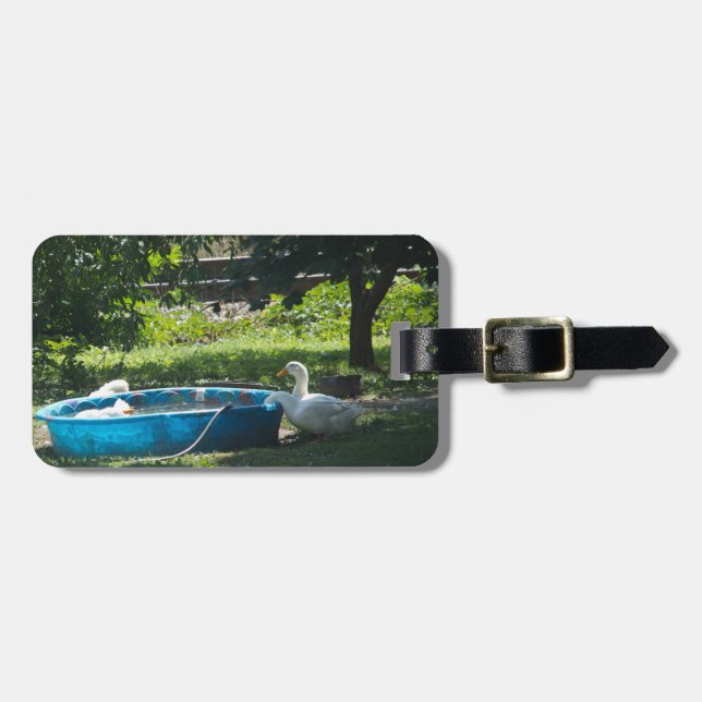 White Ducks and a Pool Luggage Tag (Front Horizontal)