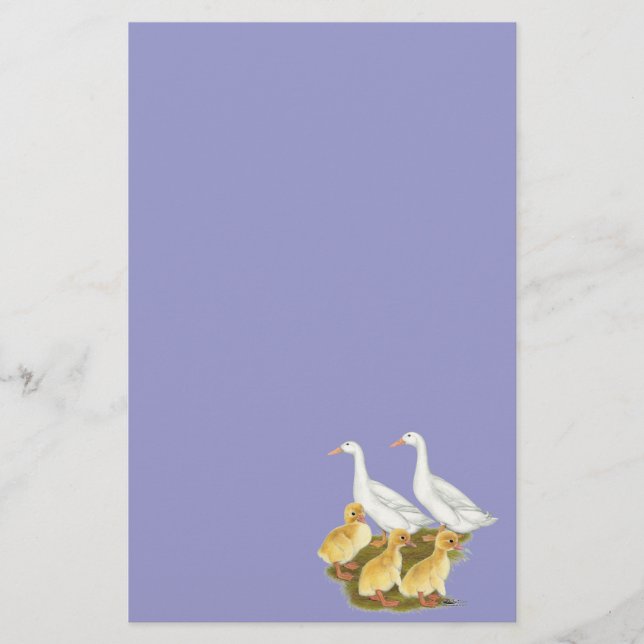 White Ducks and Ducklings Stationery (Front)