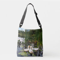 White ducks, lily pads, cattails, lake shore