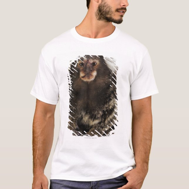 White eared Marmoset on branch, close up, studio T-Shirt (Front)