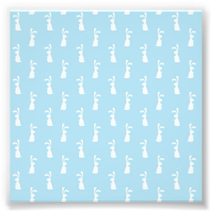 White Easter Bunny Rabbit Ears Pastel Blue Spring Photo Print