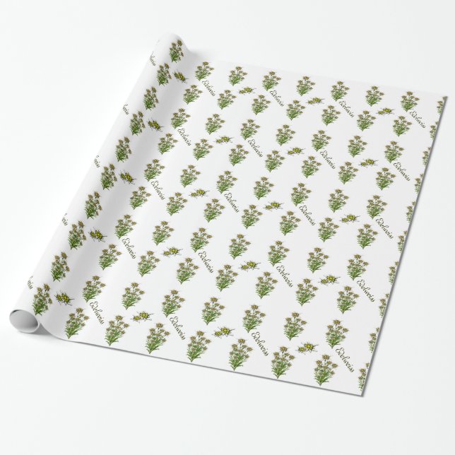 White Edelweiss Floral Wrapping Paper (Unrolled)