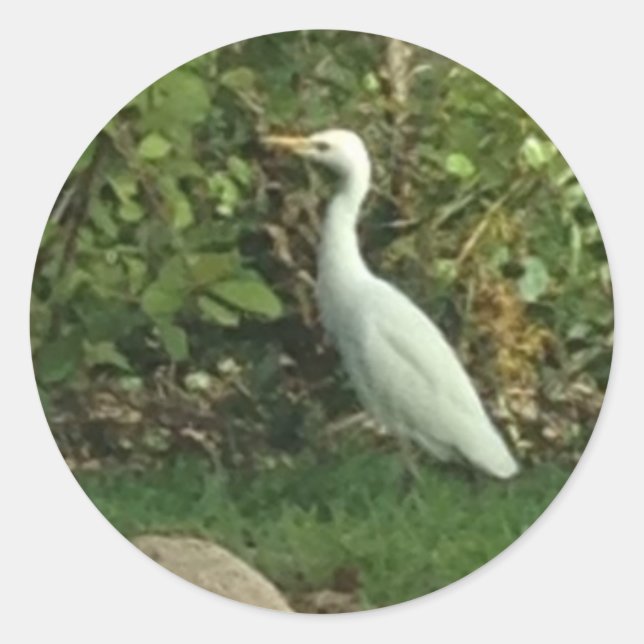 White Egret Classic Round Sticker (Front)