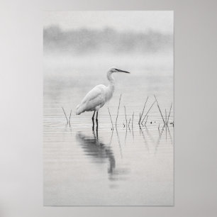 White Egret in Mist Black and White Poster