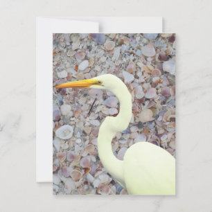 White egret postcard