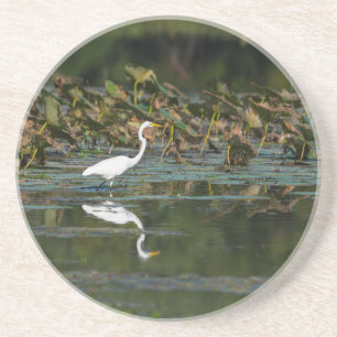 White Egret Reflection Coaster