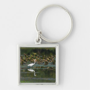 White Egret Reflection Key Ring