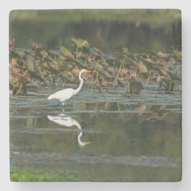 White Egret Reflection Stone Coaster (Front)