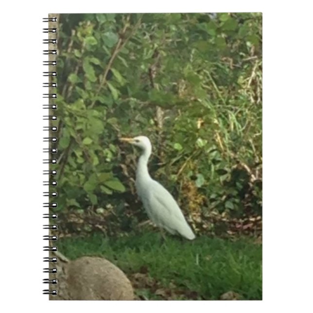 White Egret Spiral Notebook (Front)